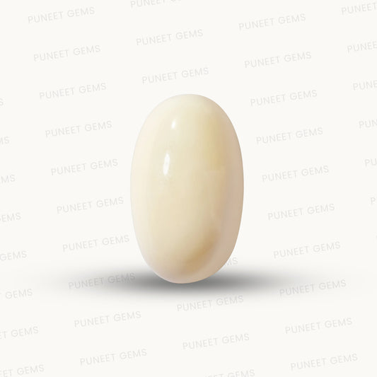 Natural White Coral Gemstone – The Gem of Strength, Vitality & Protection 8.91 CT