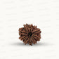Natural 10 Mukhi Rudraksha – Empowered Protection & Divine Shield