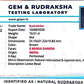Nepali 5 Mukhi Ganesh Rudraksha