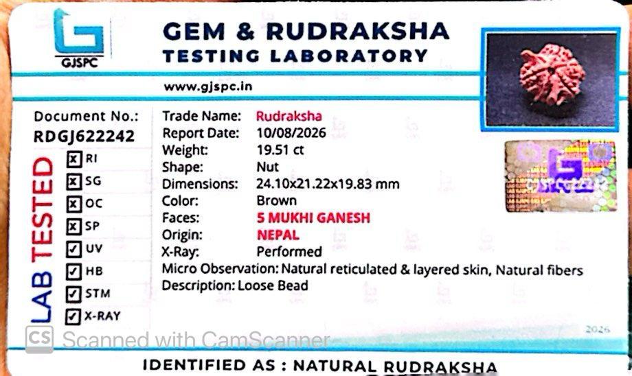 Nepali 5 Mukhi Ganesh Rudraksha