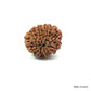 Natural 9 Mukhi Rudraksha – The Bead of Power, Courage & Divine Energy