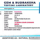 Nepali 13 Mukhi Gauri Shankar Rudraksha