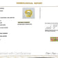 Natural Yellow Sapphire (Pukhraj) 6.14 CT - Certified