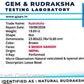 Nepali 6 Mukhi Ganesh Rudraksha