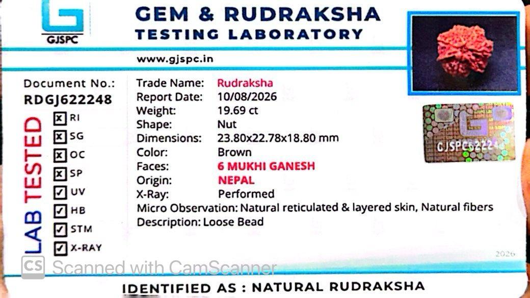 Nepali 6 Mukhi Ganesh Rudraksha