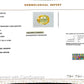 Natural Yellow Sapphire (Pukhraj) 2.49 CT - Certified