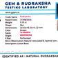 🌿 14 Mukhi Nepali Rudraksha (Natural & Certified). Super collective