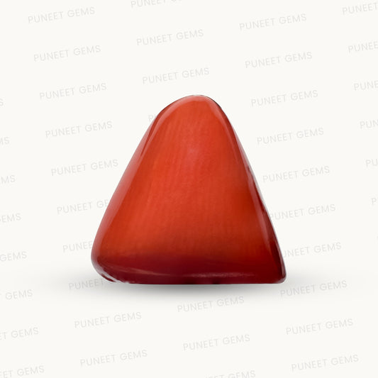 Natural Triangle Coral – The Gem of Strength, Vitality & Protection 9.47 CT