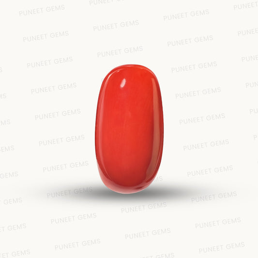Natural Coral Gemstone – The Gem of Strength, Vitality & Protection 9.55 CT