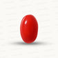 Red Coral Japanese – Natural Moonga for Strength 9.79 CT