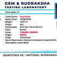 Nepali 5 Mukhi Ganesh Rudraksha