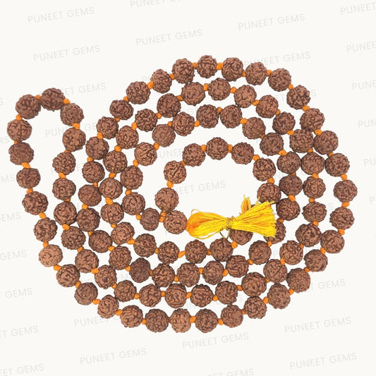 Rudraksha Jaap Mala – 108+1 Beads for Mantra Chanting & Meditation