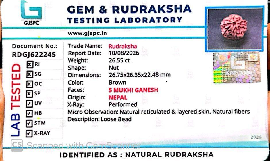 Nepali 5 Mukhi Ganesh Rudraksha