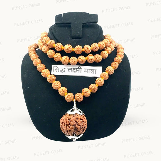 Sidh Lakshmi Rudraksha Mala with 7 Mukhi – Divine Abundance & Prosperity