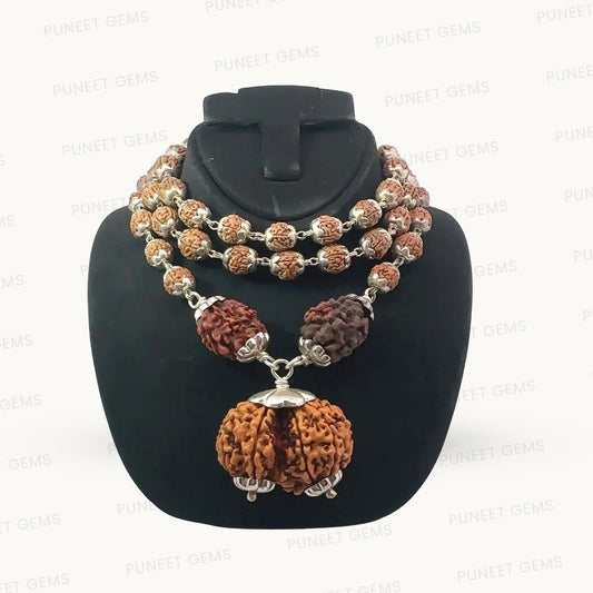 Gauri Shankar Rudraksha in Pure Silver Rudraksha Mala – Energized & Certified (Copy)