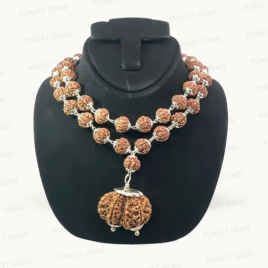 Gauri Shankar Rudraksha in Pure Silver Rudraksha Mala – Energized & Certified