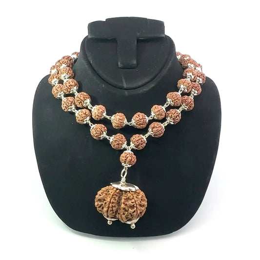 Gauri Shankar Rudraksha in Pure Silver Rudraksha Mala – Energized & Certified