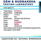 🌿 14 Mukhi Nepali Rudraksha (Natural & Certified). Antik