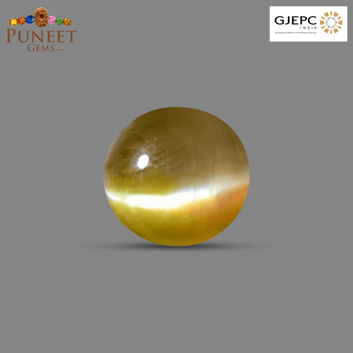 Natural Cat's Eye (Lehsunia) 6.27 Ct – Certified Premium Gemstone