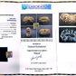 21 Mukhi Nepali Rudraksha (Super Collector Beads) Contact us for Price