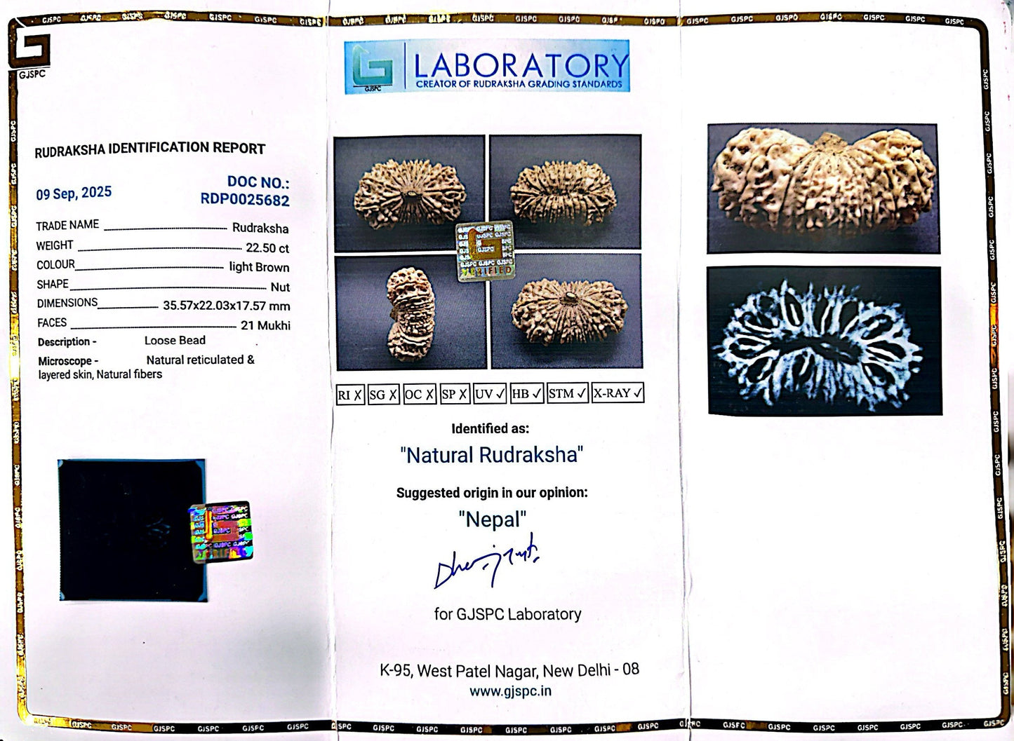 21 Mukhi Nepali Rudraksha (Super Collector Beads) Contact us for Price