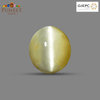 Natural Cat's Eye (Lehsunia) 10.39 CT - Certified