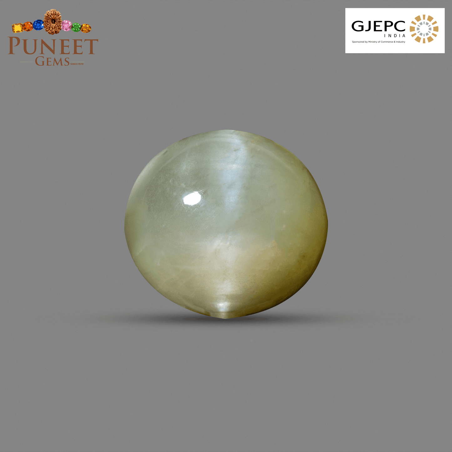 Natural Cat's Eye (Lehsunia) 8.64 CT - Certified