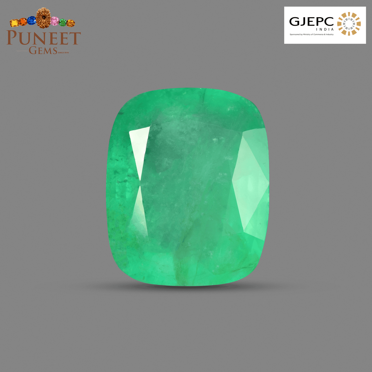 Natural Emerald (Panna) 16.01 CT – Certified Premium Gemstone