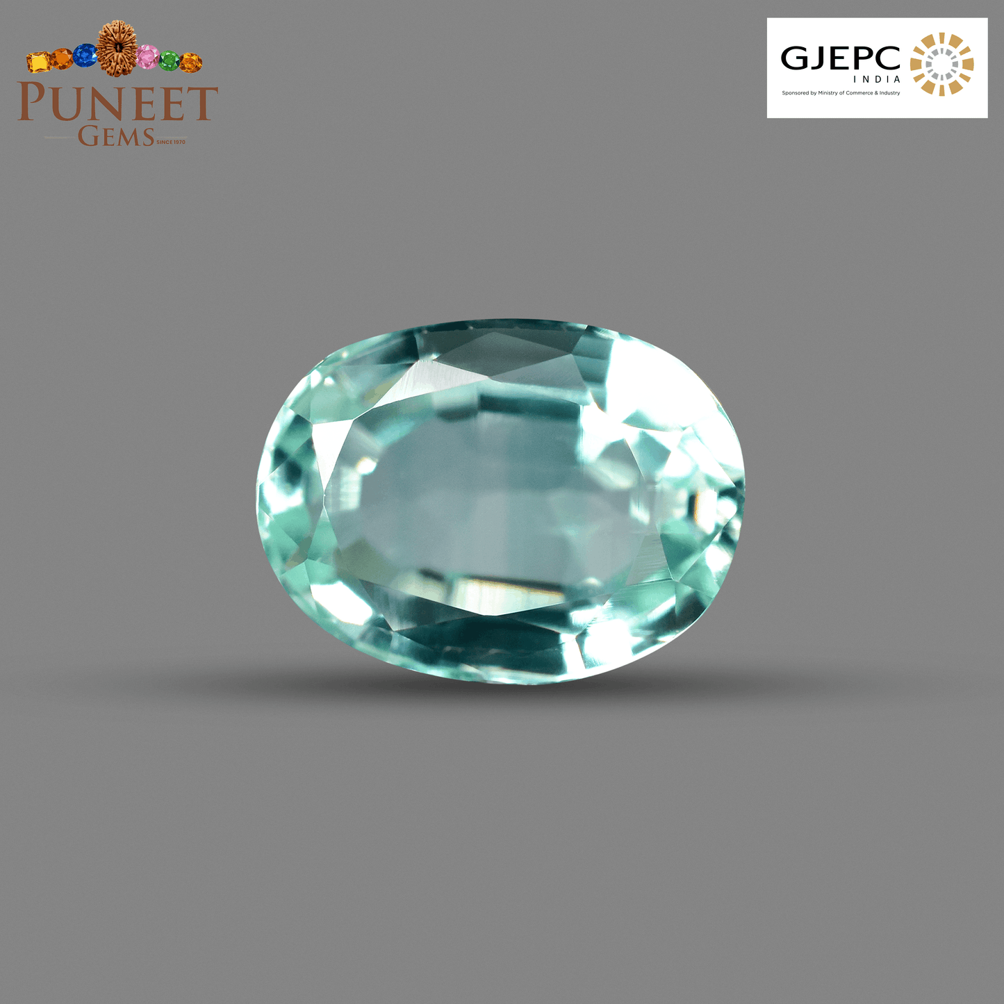 Natural Emerald (Panna) 2.70 Ct – Certified Premium Gemstone