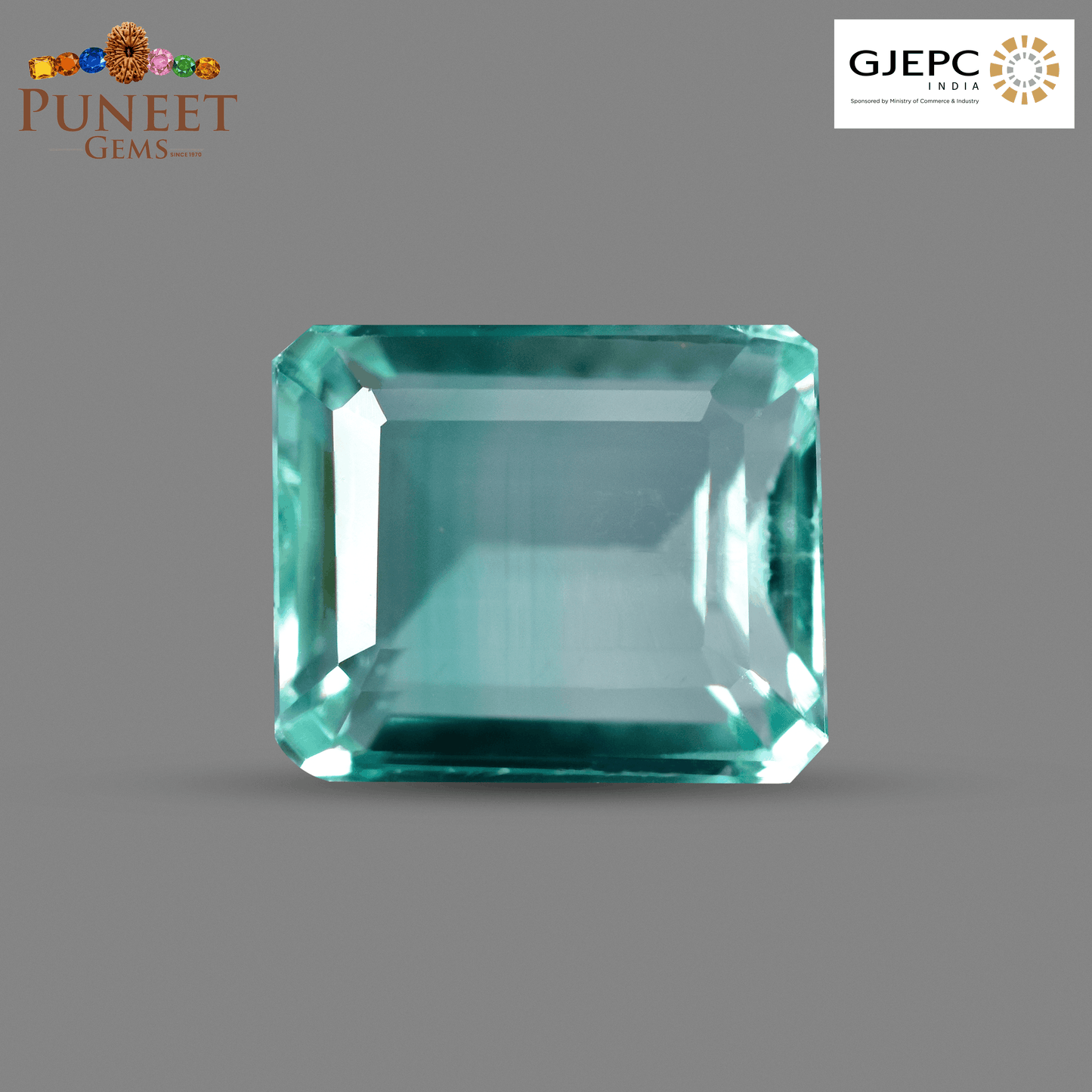 Natural Emerald (Panna) 2.94 Ct – Certified Premium Gemstone