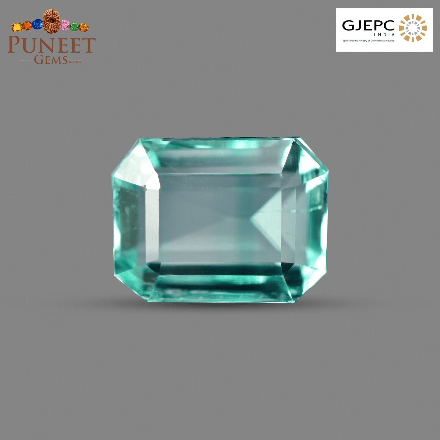 Natural Emerald (Panna) 3.25 Ct – Certified Premium Gemstone