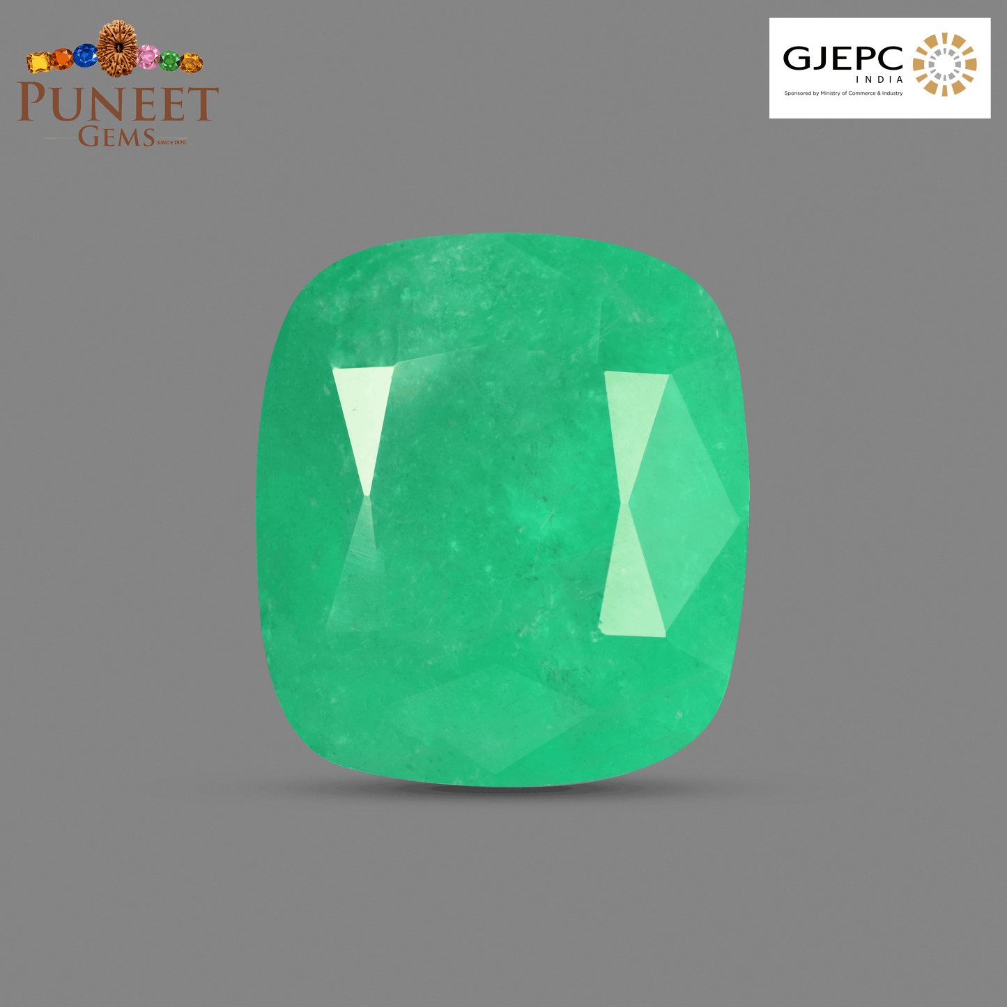 Natural Emerald (Panna) 16.57 CT – Certified Premium Gemstone