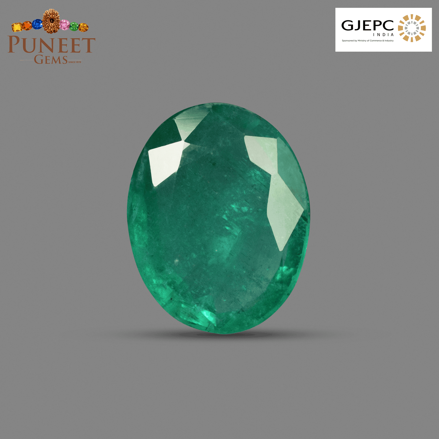 Natural Emerald (Panna) 9.84 CT – Certified Premium Gemstone