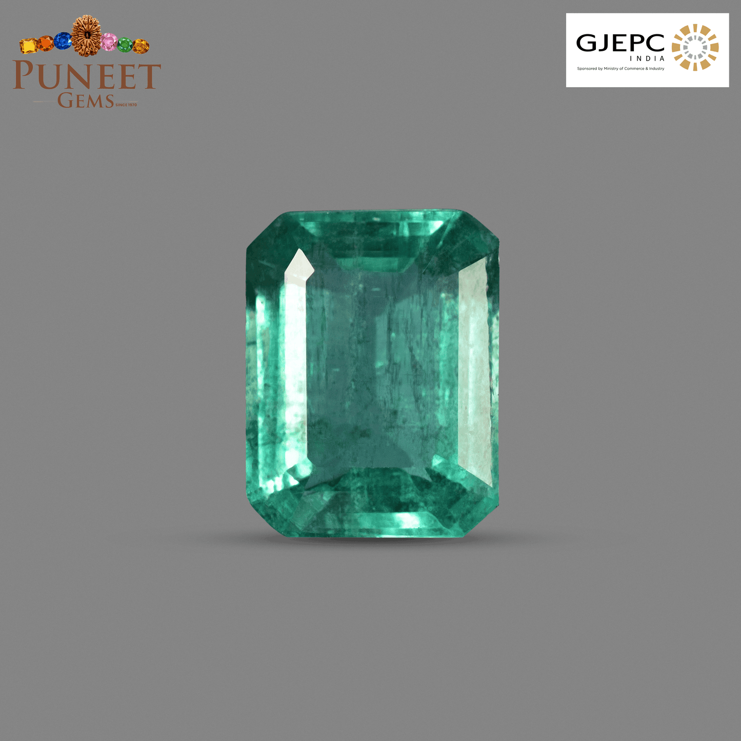 Natural Emerald (Panna) 3.16 CT – Certified Premium Gemstone
