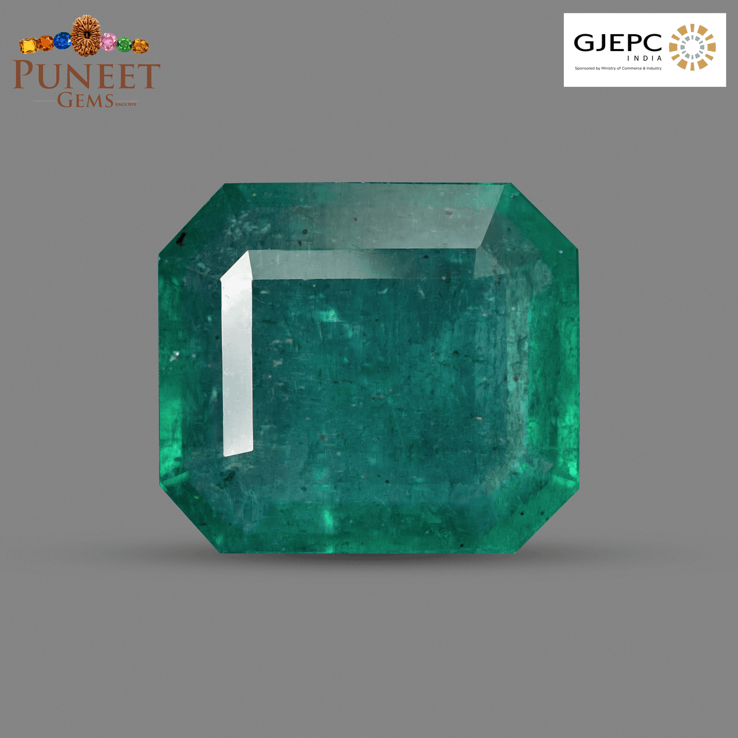 Natural Emerald (Panna) 11.29 CT – Certified Premium Gemstone