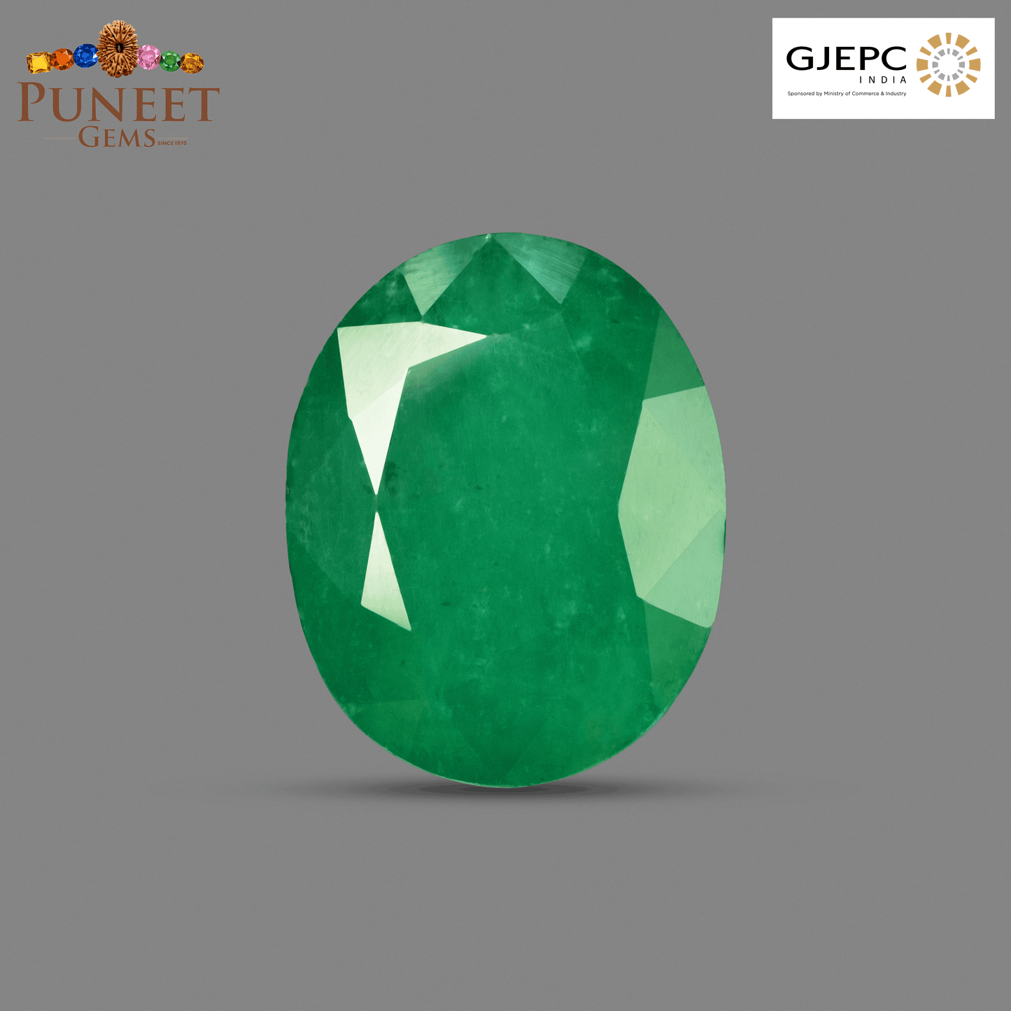 Natural Emerald (Panna) 11.63 CT – Certified Premium Gemstone
