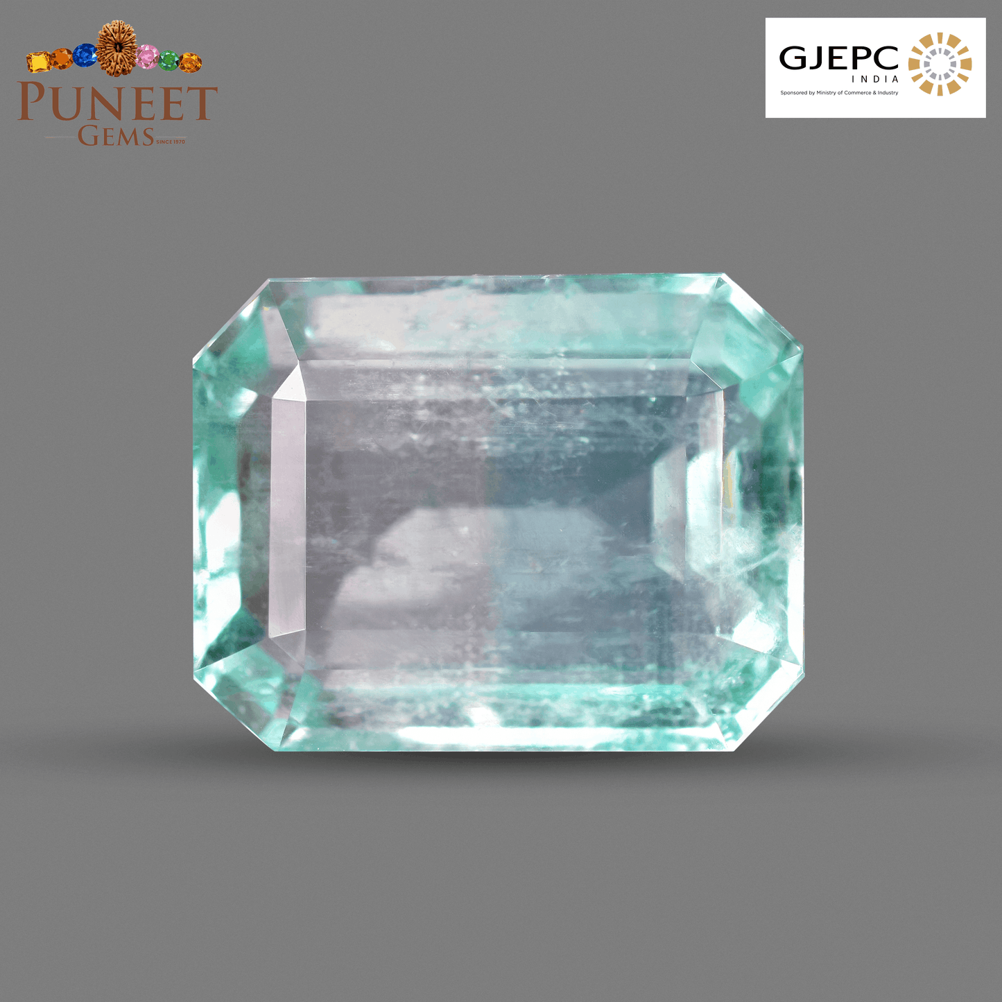 Natural Emerald (Panna) 14.33 Ct – Certified Premium Gemstone