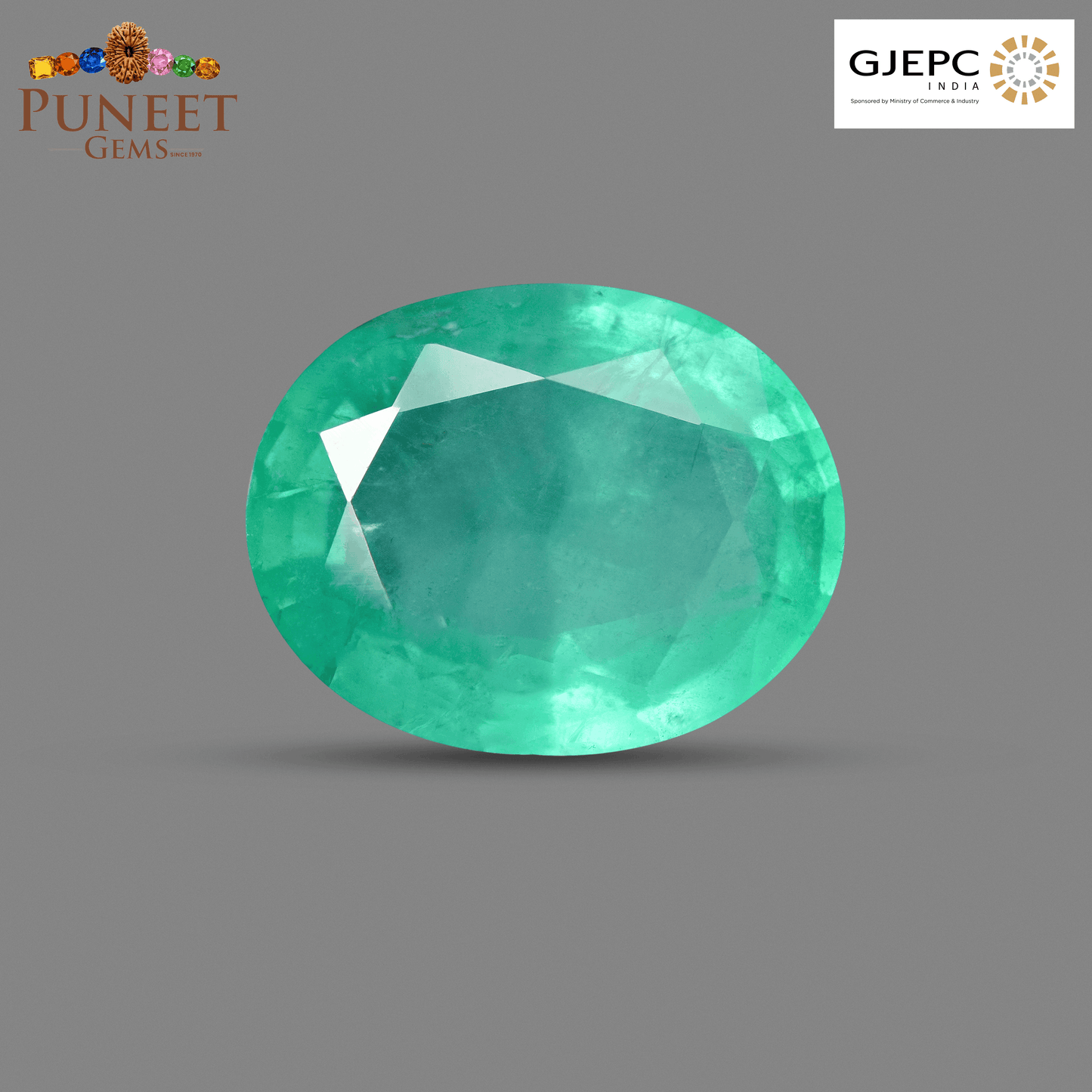Natural Emerald (Panna) 7.13 Ct – Certified Premium Gemstone