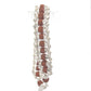 Rudraksha Silver Bracelet – 1 Line  One Powerful Symbol