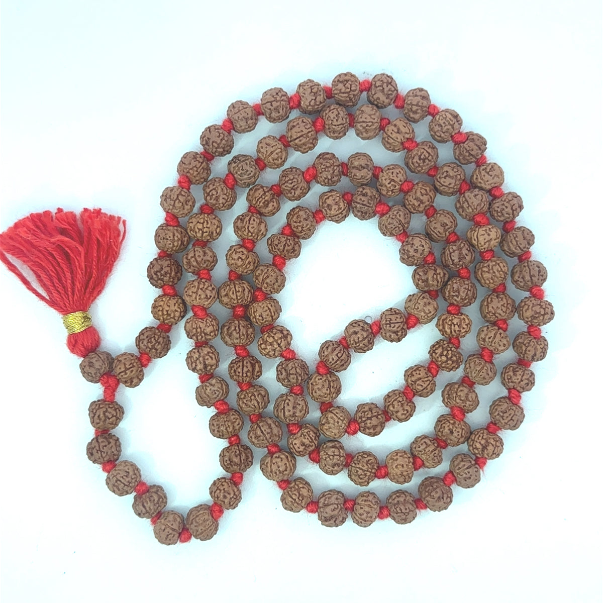 Special Rudraksha Pathri Mala 6mm – Spiritual Bead Mala