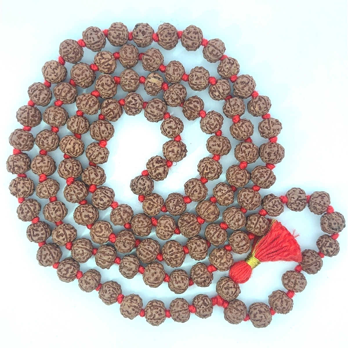 Special Rudraksha Pathri Mala 8mm – Spiritual Bead Mala