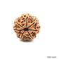Natural 7 Mukhi Rudraksha – Wealth, Protection & Saturn Relief
