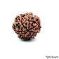 Natural 7 Mukhi Rudraksha – Wealth, Protection & Saturn Relief