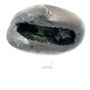 SHRI LAXMI NARAYAN SHALIGRAM-stones, revered in Hinduism, are primarily used as symbols of Lord Vishnu
