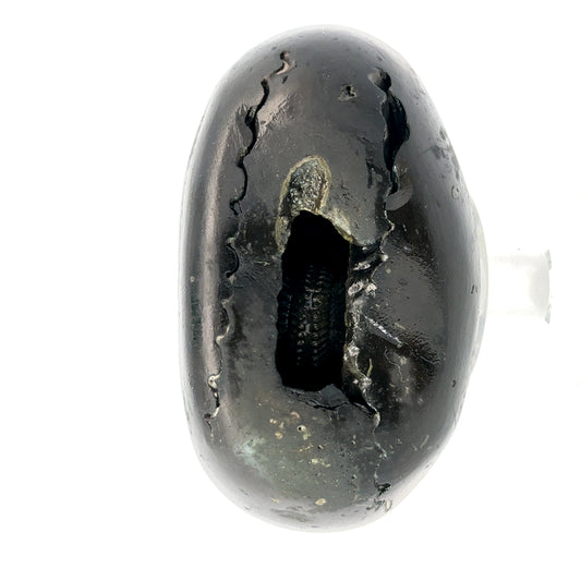 SHRI LAXMI NARAYAN SHALIGRAM- stones, revered in Hinduism, are primarily used as symbols of Lord Vishnu.