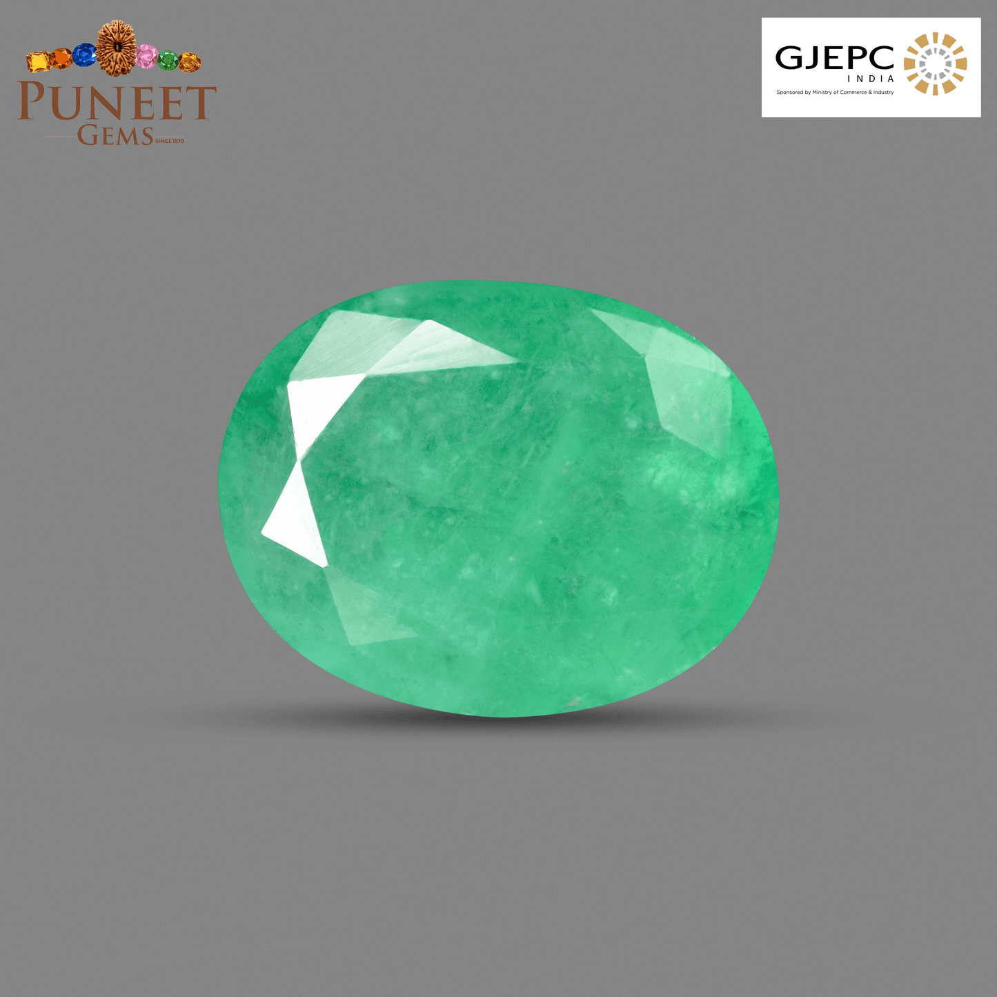 Natural Emerald (Panna) 6.60 Ct – Certified Premium Gemstone