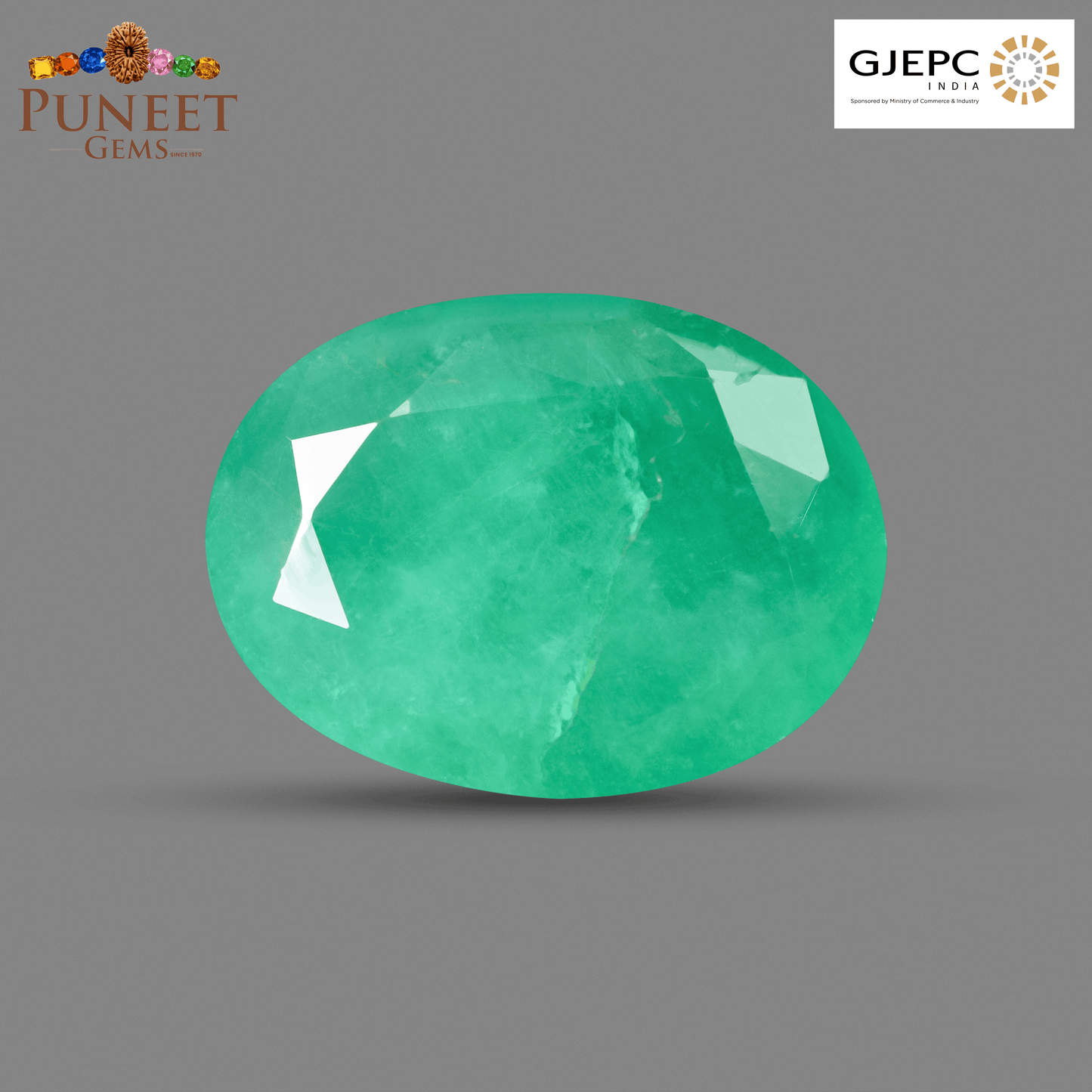 Natural Emerald (Panna) 7.12 Ct – Certified Premium Gemstone