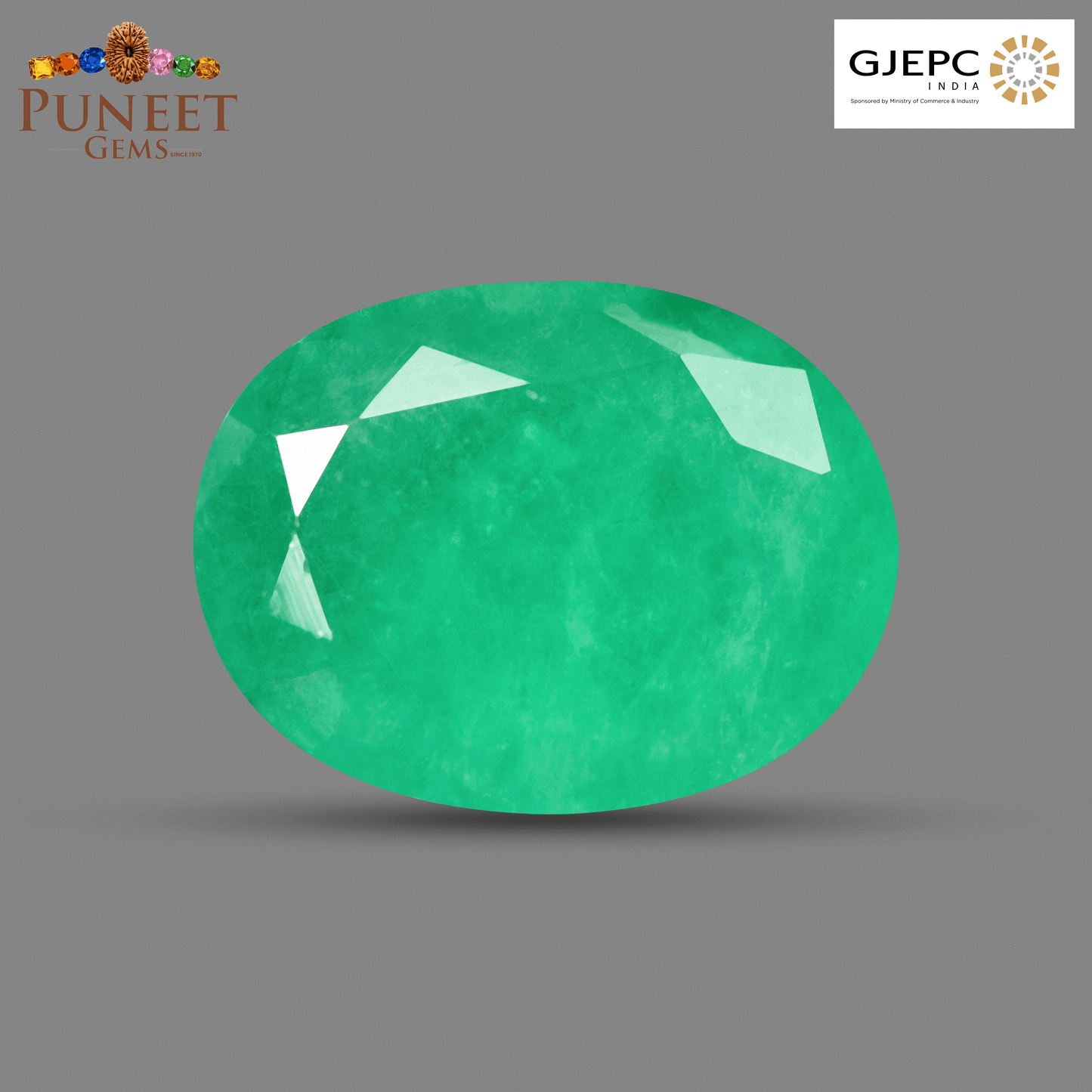 Natural Emerald (Panna) 8.67 Ct – Certified Premium Gemstone