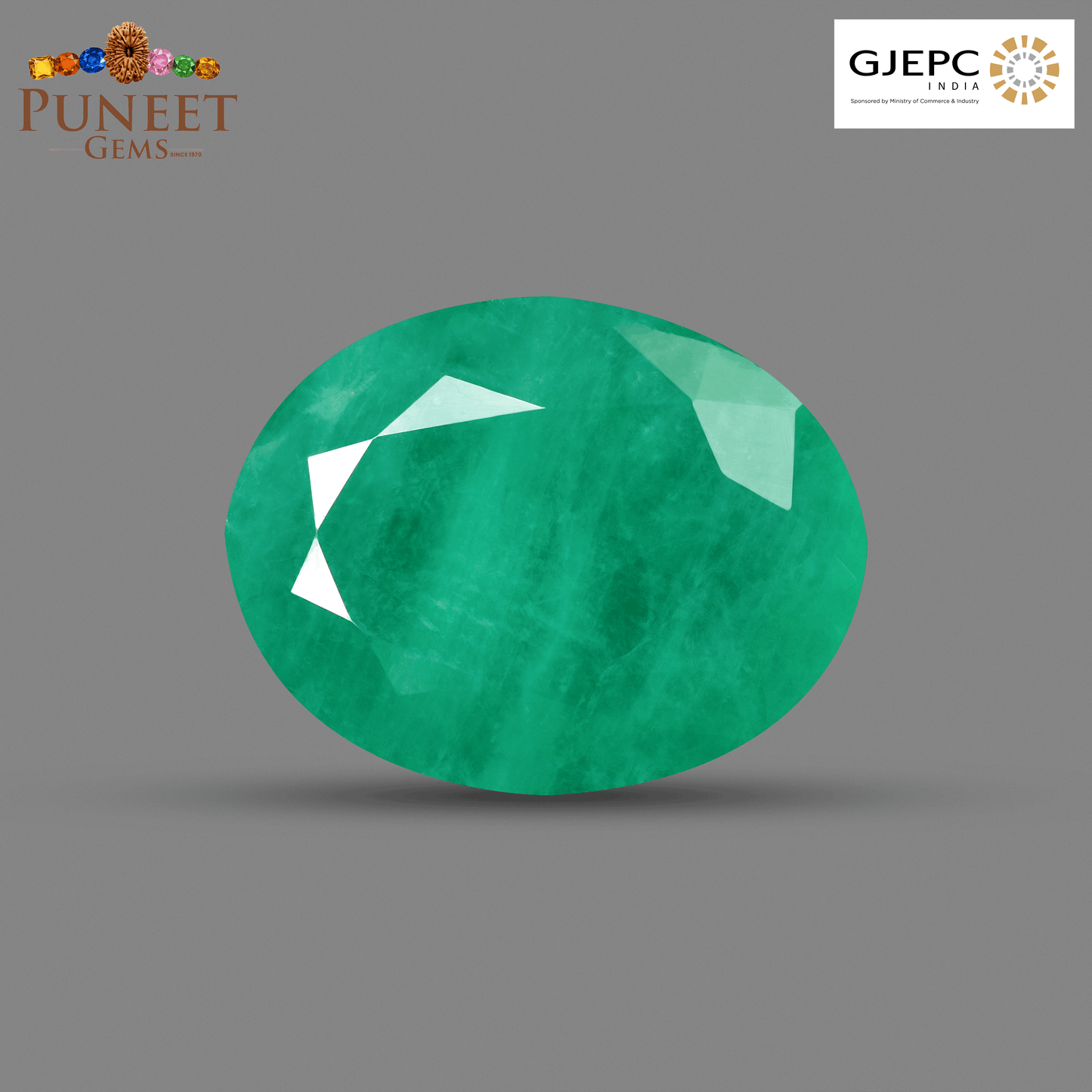 Natural Emerald (Panna) 9.06 Ct – Certified Premium Gemstone