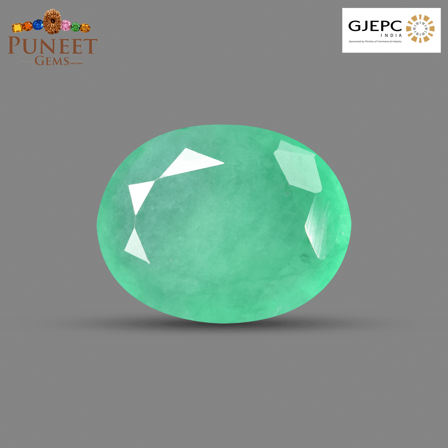 Natural Emerald (Panna) 6.48 Ct – Certified Premium Gemstone